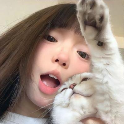 伸冤人第三季